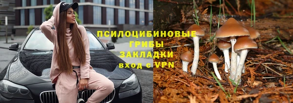 apvp Нижневартовск