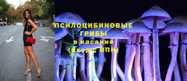 первитин Лиски